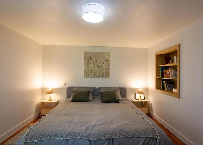 Prázdninový dům Maison Climatisee Avec Jardin Au Coeur De - Fr-1-616-399 *